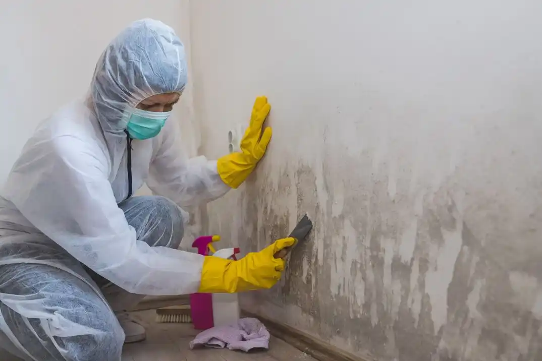 water damage restoration service Byberry
